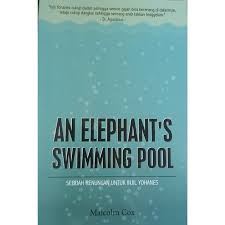 An Elephants Swimming Pool